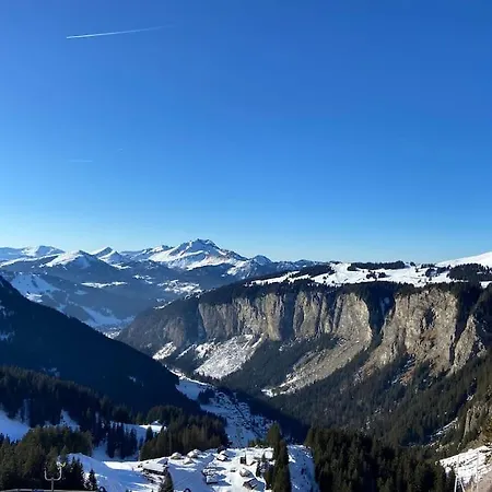 Les 3 Sophie - Ski-in Studio In Les Prodains *